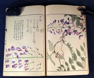 Honzō Zufu 本草図譜 [also Honsō Zufu] 3 vols 27-29