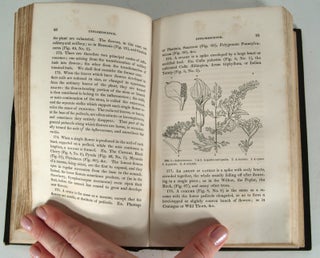 THE BOTANICAL TEXT-BOOK FOR COLLEGES, SCHOOLS, AND PRIVATE STUDENTS