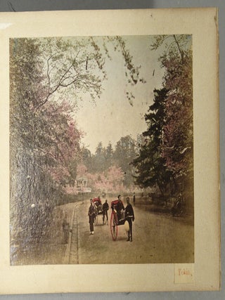 25 OUTDOOR SCENES AND STUDIO PHOTOS