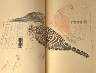 Item #86892 Eishō Hyakucho Gafu 英章百鳥画譜, 4 vols. Takeuchi Seihō...