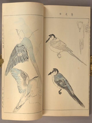 Eishō Hyakucho Gafu 英章百鳥画譜, 4 vols.