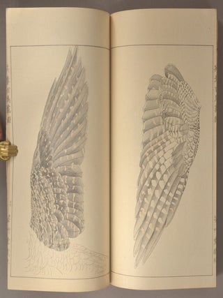 Eishō Hyakucho Gafu 英章百鳥画譜, 4 vols.