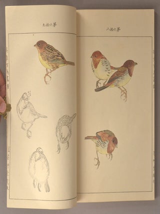 Eishō Hyakucho Gafu 英章百鳥画譜, 4 vols.