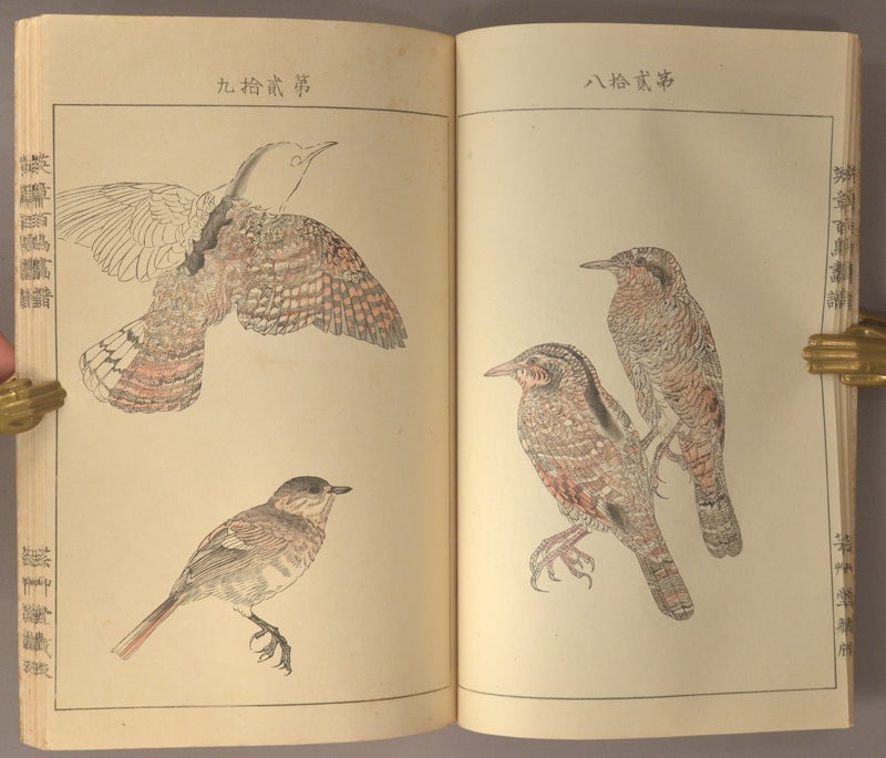 Eishō Hyakucho Gafu 英章百鳥画譜, 4 vols by Takeuchi Seihō 竹内栖鳳 Tsuchida Eishō  土田英章, artists on Boston Book Company