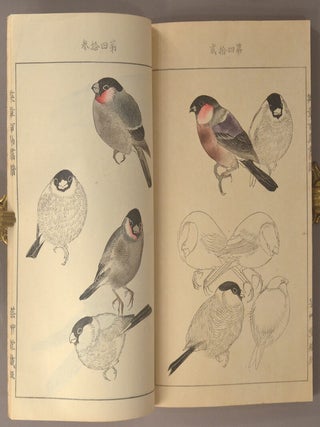 Eishō Hyakucho Gafu 英章百鳥画譜, 4 vols.
