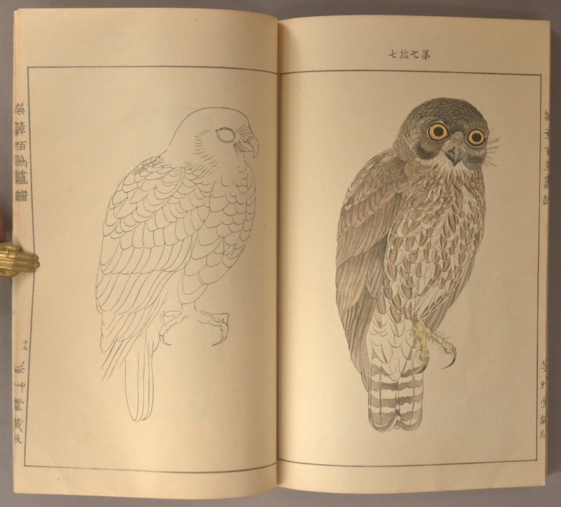 Eishō Hyakucho Gafu 英章百鳥画譜, 4 vols | Takeuchi Seihō 竹内栖鳳 