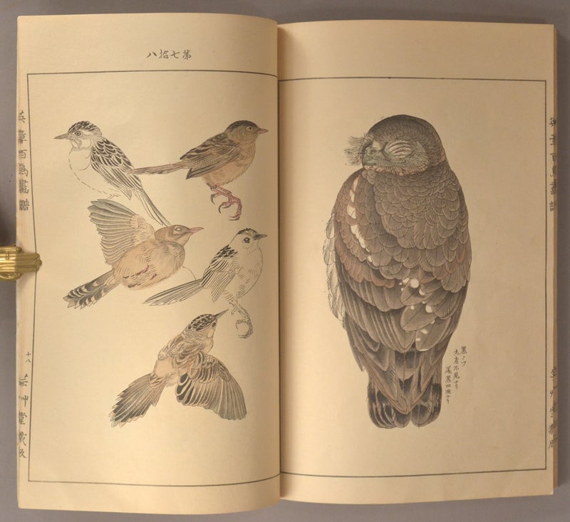 Eishō Hyakucho Gafu 英章百鳥画譜, 4 vols | Takeuchi Seihō 竹内栖鳳 