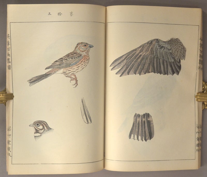 Eishō Hyakucho Gafu 英章百鳥画譜, 4 vols | Takeuchi Seihō 竹内栖鳳 