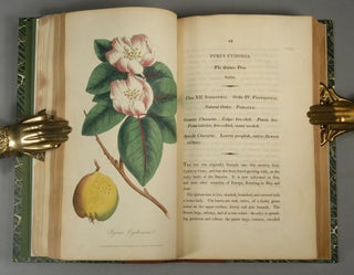 Item #86947 MEDICAL BOTANY: OR, HISTORY OF PLANTS IN THE MATERIA MEDICA. PHARMACY