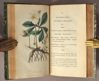 MEDICAL BOTANY: OR, HISTORY OF PLANTS IN THE MATERIA MEDICA
