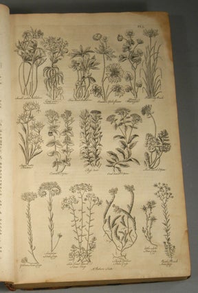 BRITISH HERBAL: AN HISTORY OF PLANTS AND TREES, NATIVES OF BRITAIN, CU