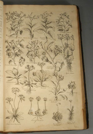 BRITISH HERBAL: AN HISTORY OF PLANTS AND TREES, NATIVES OF BRITAIN, CU