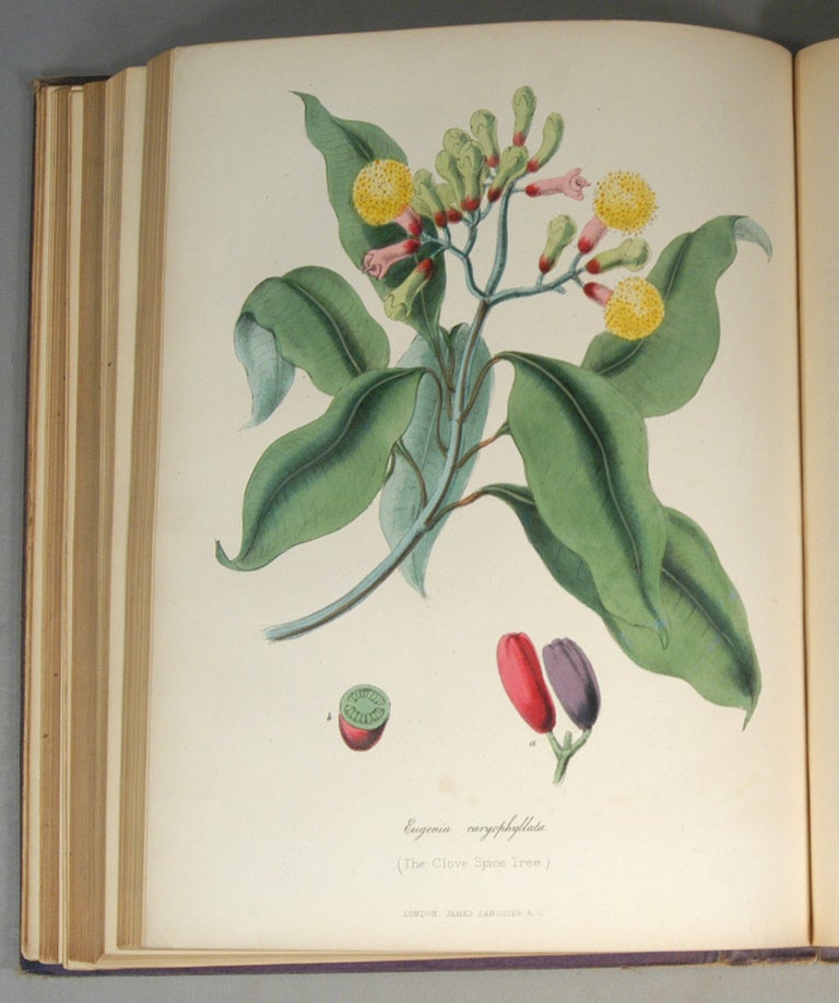 Item #87118 CYCLOPAEDIA OF USEFUL & ORNAMENTAL PLANTS Used in the Arts, In Medicin. Gilbert Thomas BURNETT.