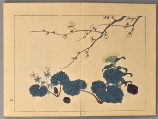 Item #87908 SHIKI NO HANA. BOTANICAL, Suzuki KI-ITSU Sakai HÔ-ITSU, NAKAN