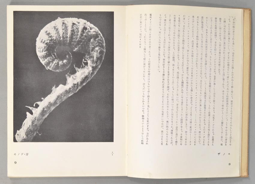 Hakubutshushi Zuihitsu Shashin 博物誌－随筆・写真 by Onchi Kōshirō 恩地孝四郎 on Boston  Book Company