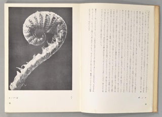 Item #87937 Hakubutshushi Zuihitsu Shashin 博物誌－随筆・写真. Onchi Kōshirō...