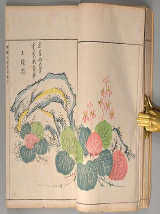 Minchō Shiken 明朝紫硯 (also Minchō Seidō Gaen 明朝生動画園)