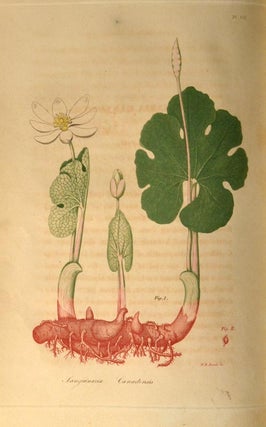 AMERICAN MEDICAL BOTANY, BEING A COLLECTION OF THE NATIVE MEDICINAL PL