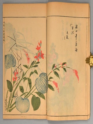 MINCHO^ SHIKEN