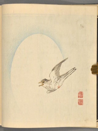 NATSU KODACHI-SHU^
