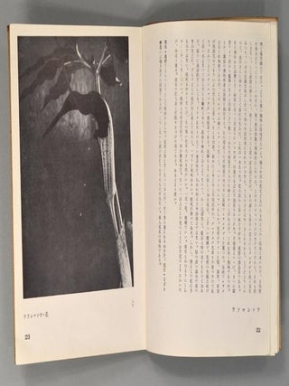 HAKUBUTSUSHI Zuihitsu Shashin