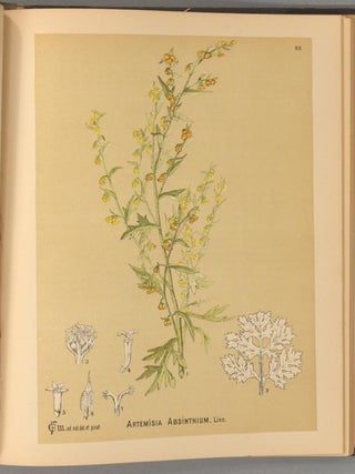 AMERICAN MEDICINAL PLANTS; AN ILLUSTRATED AND DESCRIPTIVE GUIDE