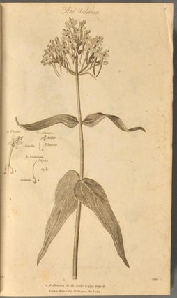 BRITISH FLORA; OR, GENERA AND SPECIES OF BRITISH PLANTS