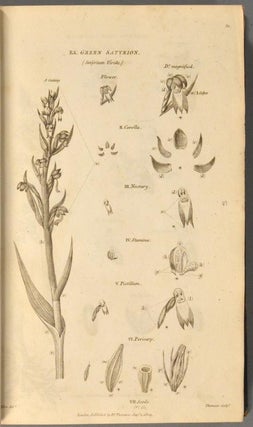 BRITISH FLORA; OR, GENERA AND SPECIES OF BRITISH PLANTS