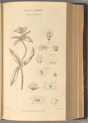 BRITISH FLORA; OR, GENERA AND SPECIES OF BRITISH PLANTS