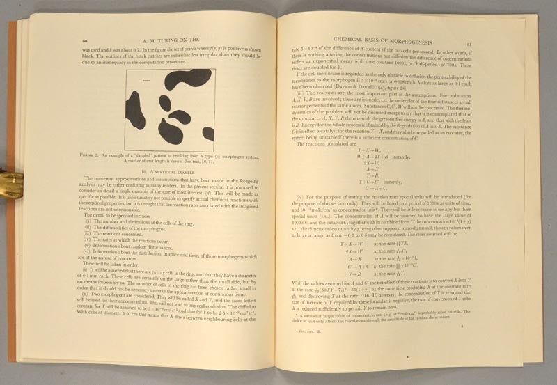 THE CHEMICAL BASIS OF MORPHOGENESIS | Alan TURING