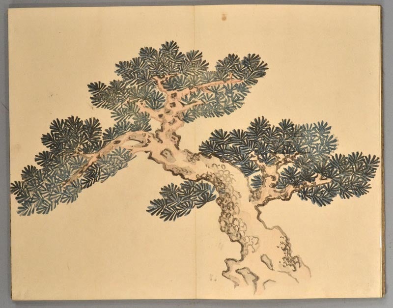 古書 TAIGADO GAFU 大河堂画譜 | EHON, artist IKE NO TAIGA 池大河