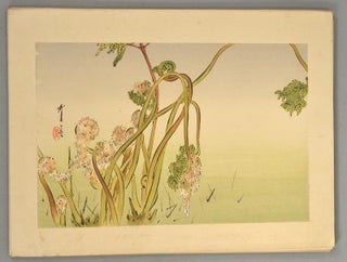 Watanabe Seitei 渡辺省亭 (also Shōtei), artist