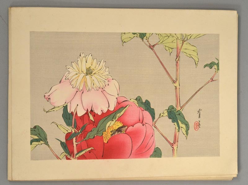 Watanabe Seitei 渡辺省亭 also Shōtei , artist by Seitei Kachō 省亭花鳥, Bird and  Flower, Prints on Boston Book Company
