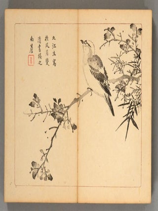 SHOGA RUISEN