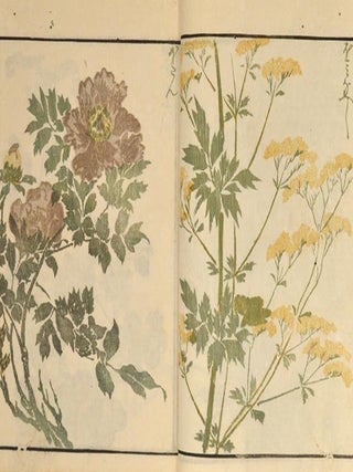 Item #89966 Sōka Ryakugashiki 草花略画式. artist Keisai Masayoshi...