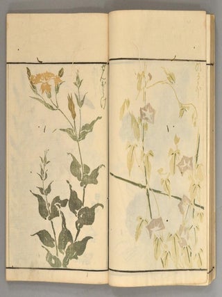 Sōka Ryakugashiki 草花略画式
