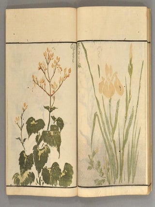 Sōka Ryakugashiki 草花略画式