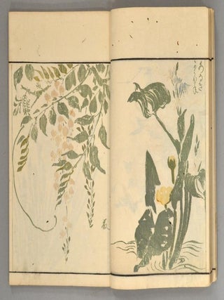 Sōka Ryakugashiki 草花略画式