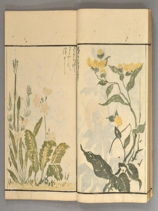 Sōka Ryakugashiki 草花略画式