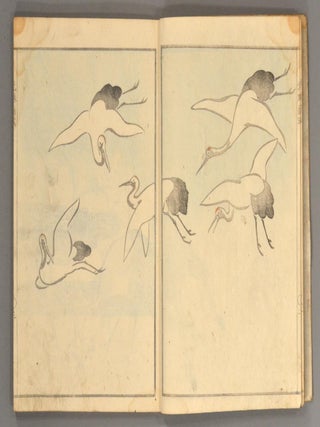 KÔRIN GASHIKI Zen