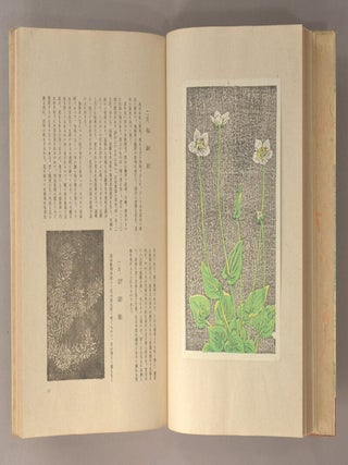 Kōzan Kafu 高山花譜.