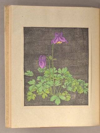 Kōzan Kafu 高山花譜.