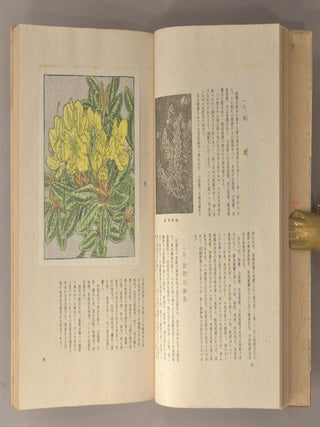 Kōzan Kafu 高山花譜.