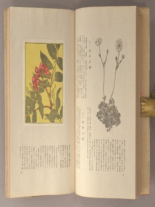 Kōzan Kafu 高山花譜.