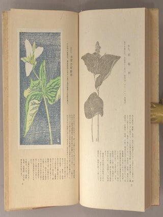 Kōzan Kafu 高山花譜.