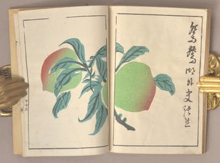 Shinjin Chōshishō Gafu 清人張子祥画譜 Qingren Zhang Zixiang Huapu [Painting album of Zhang Zixiang of China]
