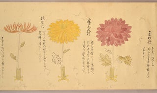 Item #91041 [hand scroll - makimono 巻き物] [Chrysanthemum Scroll
