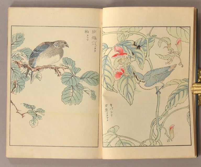 Item #91054 Kachō Gasui 花鳥書粹 [Birds and Flowers]. artist Numata Kashū 沼田荷舟.
