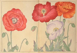 Item #91083 Seiyô SOKA ZUFU 西洋草花図譜. artist Tanigami Kônan...