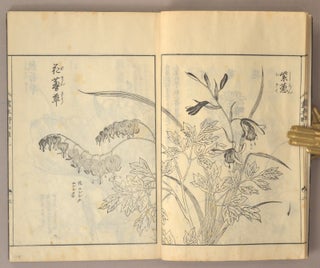 Ehon Noyama Gusa 絵本野山草 [Illustrated Book of Mountain and Field Plants]